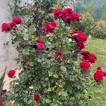Casa Vacanze Federica Villa กาญารี ภายนอก รูปภาพ